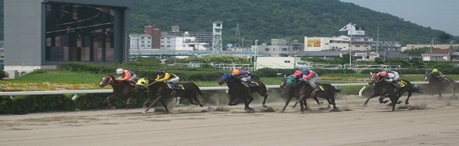 姫路競馬場