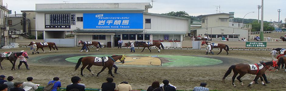 水沢競馬場パドック
